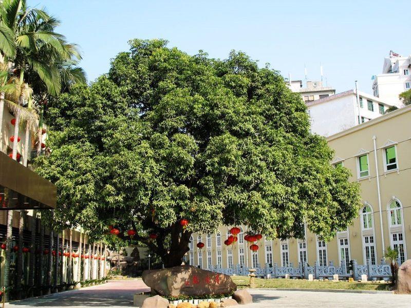 Hilford Hotel שיאמן מראה חיצוני תמונה